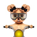 Funny biker dog sitting on a chopper.