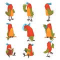 Funny Bird Cartoon Character in Different Situations Set, Cute Birdie with Bright Colorful Feathers and Tuft Vector