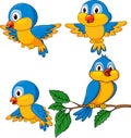 Funny bird cartoon set Royalty Free Stock Photo