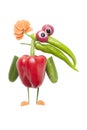 Funny bird made of vegetables