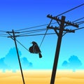 Funny bird on the poles