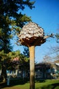 Funny birdhouse for many birds in alpine town of Annecy