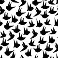 Funny birds seamless pattern