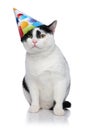 Funny birthday cat with cap sliding off head