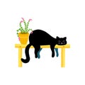 Funny black cat sleep on a bench with a flower pot. Spring summer concept. Vector illustration in simple hand drawn