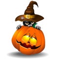 Halloween Kitty Cat with Witch Hat and a Halloween Pumpkin Vector Illustration