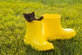 Funny black kitten sitting in yellow boot on grass. Cute image concept for postcards calendars and booklets with pet Royalty Free Stock Photo