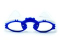 Funny blue clab glasses isolated