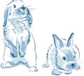 Funny blue rabbits