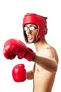 Funny boxer isolated Royalty Free Stock Photo