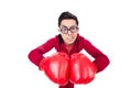 Funny boxer Royalty Free Stock Photo