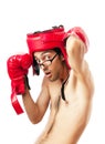 Funny boxer on white Royalty Free Stock Photo