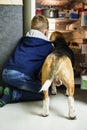 Funny boy and beagle dog are looking into open refrigerator Royalty Free Stock Photo