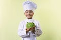 Chef keeps in his hands a cabbage Royalty Free Stock Photo