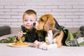 Funny boy and dog Beagle eating chips