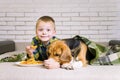 Funny boy and dog Beagle eating chips