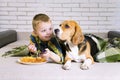 Funny boy and dog Beagle eating chips Royalty Free Stock Photo