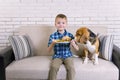 Funny boy with dog beagle eating fried potatoes with a hamburger