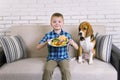 Funny boy with dog beagle eating fried potatoes with a hamburger