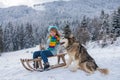 Funny boy with dog having fun with a sleigh in winter. Children with wolves dog. Winter vacation concept. Pet love. Royalty Free Stock Photo
