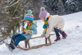 Funny boy and girl having fun with a sleigh in winter. Cute children playing in a snow. Winter activities for kids. Cold Royalty Free Stock Photo