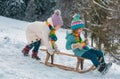 Funny boy and girl having fun with a sleigh in winter. Cute children playing in a snow. Winter activities for kids. Cold Royalty Free Stock Photo