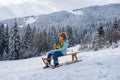 Funny boy having fun with a sleigh in winter forest woods. Cute children sledging in a snow mountain. Winter activities Royalty Free Stock Photo
