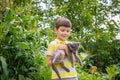 Funny boy hugging a cat with lots of love. Portrait of child hol Royalty Free Stock Photo