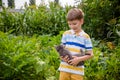 Funny boy hugging a cat with lots of love. Portrait of child holding on hands a Kitten. Playing with a cat on village countryside Royalty Free Stock Photo