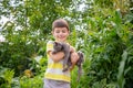 Funny boy hugging a cat with lots of love. Portrait of child holding on hands a Kitten. Playing with a cat on village countryside Royalty Free Stock Photo