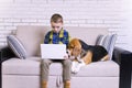 Funny boy playing a laptop with a beagle dog