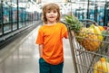 Funny boy with shopping cart full of fresh organic vegetables and fruits standing in grocery department of food store or Royalty Free Stock Photo