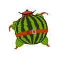 Funny brave watermelon cartoon character, man in fruit costume vector Illustration on a white background