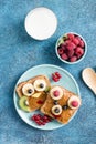 Funny breakfast toast for kids shaped as cute owl, dog. Food art sandwich for child. Isolated. Animal faces toasts with spreads, Royalty Free Stock Photo