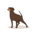 Funny brown big dog. Dogs collection. Vector illustration of cute breeds dogs in trendy flat style