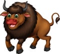 Funny Brown Buffalo Cartoon