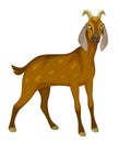 Funny brown goat Royalty Free Stock Photo