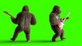 Funny brown gorilla play the bass guitar. Super realistic fur and hair. Green screen. 3d rendering.