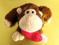Funny Brown Monkey Royalty Free Stock Photo