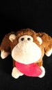 Funny Brown Monkey Royalty Free Stock Photo