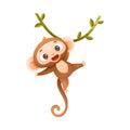 Funny Brown Monkey with Prehensile Tail Hanging on Liana Vector Illustration