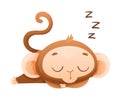 Funny Brown Monkey with Prehensile Tail Sleeping and Snoring Vector Illustration