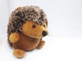 Funny brown plush toy - a hedgehog sits on a white background. horizontal photo