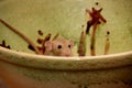 Funny brown rat are sitting on a large clay pot Royalty Free Stock Photo