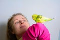 Funny budgie. A cute yellow budgie parrot is sitting on the girls hand. Tamed pet Royalty Free Stock Photo