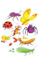 Funny bug set. Collection happy cartoon insects. Colorful hand drawn illustration. Royalty Free Stock Photo