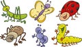 Funny bugs collection Royalty Free Stock Photo