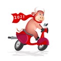 Funny bull rides a red scooter on white background.