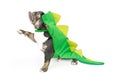 Funny Bulldog in Dinosaur Costume Raising Paw