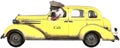 Funny Taxi Cab Dog, Isolated, Bulldog Royalty Free Stock Photo